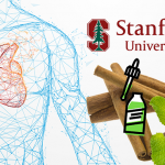 stanford