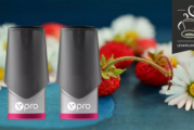 REVUE / TEST : Fruits des Bois (gamme vpro) par Vype