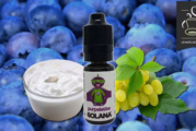 REVUE / TEST : Purpelette (Gamme Prêt à Vaper) par Solana