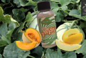 REVUE / TEST : Cantaloup (Twist) par Flavor hit