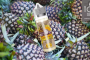 REVUE / TEST : Juicy par Vap’land