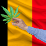 BELGIQUE : Harmonisation de la vente du « cannabis légal » (CBD) depuis le 1er juillet !