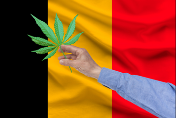 BELGIQUE : Harmonisation de la vente du « cannabis légal » (CBD) depuis le 1er juillet !