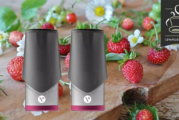 REVUE / TEST : Fruits des Bois par Vype