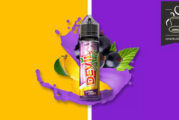 REVUE / TEST : Citron Cassis (Gamme Devil Squiz) par AVAP