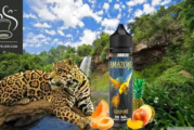 REVUE / TEST : Guapore (Gamme Amazone) par e-Tasty Liquides