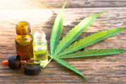 CANADA : Légalisation imminente des produits du vapotage contenant du cannabis !