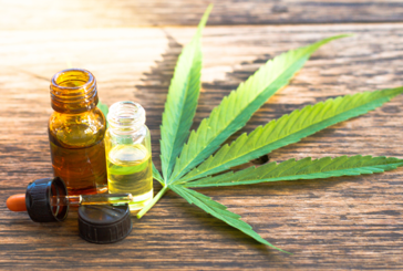 CANADA : Légalisation imminente des produits du vapotage contenant du cannabis !