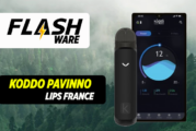 FLASHWARE : Koddo Pavinno – Laboratoire Lips