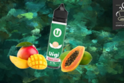 REVUE / TEST : Uigi (Gamme Game Over) par e-Tasty