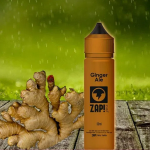 REVUE / TEST : Ginger Ale par Zap Juice