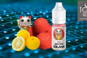 REVUE / TEST : Mix Japonais par Solana