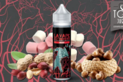 REVUE / TEST : Arcade (Gamme La Vape à l’Envers) par Vapeur France