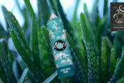 REVUE / TEST : Aloé Véra (Gamme Aisu) par Zap juice