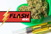 ETATS-UNIS : L&rsquo;Oregon envisage d&rsquo;interdire l&rsquo;usage d&rsquo;arômes dans la vape au cannabis