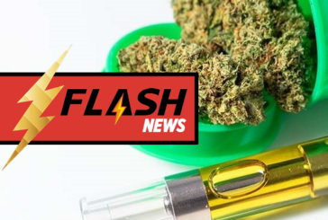 ETATS-UNIS : L&rsquo;Oregon envisage d&rsquo;interdire l&rsquo;usage d&rsquo;arômes dans la vape au cannabis