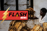 CAMEROUN : Des nombreuses critiques contre l&rsquo;ingérence étrangère sur la traçabilité des produits du tabac