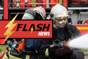 FAIT-DIVERS : Une batterie d&rsquo;e-cigarette cause un feu en Alsace, un chien périt…