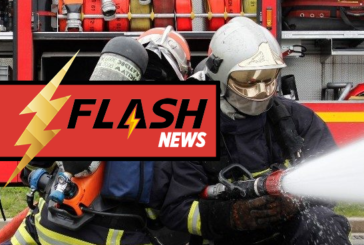 FAIT-DIVERS : Une batterie d&rsquo;e-cigarette cause un feu en Alsace, un chien périt…