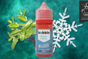REVUE / TEST : Menthe Fraîche (Gamme Menthe) par Bobble
