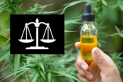 DROIT : L&rsquo;Europe juge illégale l&rsquo;interdiction du CBD en France !