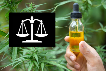 DROIT : L&rsquo;Europe juge illégale l&rsquo;interdiction du CBD en France !