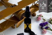 REVUE / TEST : The Archangel (Gamme Aces) par Vaponaute Paris
