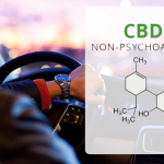 SCIENCE : La vaporisation de CBD n&rsquo;altère pas plus la conduite qu&rsquo;un placebo