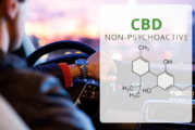 SCIENCE : La vaporisation de CBD n&rsquo;altère pas plus la conduite qu&rsquo;un placebo