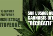 CBD / CANNABIS : Le gouvernement lance une consultation citoyenne sur internet !