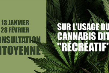 CBD / CANNABIS : Le gouvernement lance une consultation citoyenne sur internet !