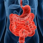 ÉTUDE : L&rsquo;utilisation régulière de l&rsquo;e-cigarette peut entrainer « fuite intestinale » et inflammation.