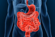 ÉTUDE : L&rsquo;utilisation régulière de l&rsquo;e-cigarette peut entrainer « fuite intestinale » et inflammation.