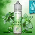 REVUE / TEST : Le Chewing Gum Menthe par Le Vaporium