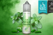 REVUE / TEST : Le Chewing Gum Menthe par Le Vaporium