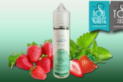 REVUE / TEST : Menthe Gariguette par Petit Nuage