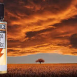 REVUE / TEST : Blood Ice Orange par T-Juice