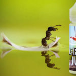 REVUE / TEST : Le P’tit Jus (Gamme Le P’tit Jus) par Unicorn Vape/Jin and Juice