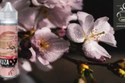 REVUE / TEST : Sakura Berries par Yakuza