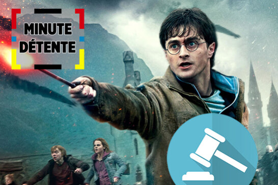 MINUTE DÉTENTE : Fan de Harry Potter ? La véritable baguette du sorcier bientôt aux enchères !