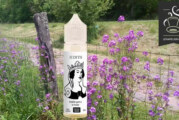 REVUE / TEST : Judith par 814