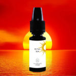 REVUE / TEST : By The Sun (Gamme E-Voyages) par Vaponaute