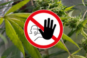 DROIT : Interdiction et mauvaise surprise pour le CBD pour démarrer l&rsquo;année 2022.