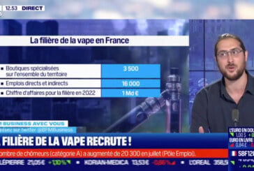 ÉCONOMIE : Boutiques d&rsquo;e-cigarettes, fabricants, la filière vape recrute !
