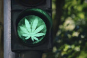 DROIT : Conduire après avoir consommé du CBD, c&rsquo;est possible !