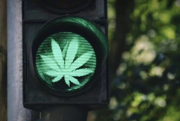 DROIT : Conduire après avoir consommé du CBD, c&rsquo;est possible !