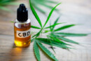 DROIT : Annulation de l&rsquo;interdiction de vente des fleurs de CBD