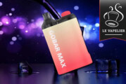 REVUE / TEST : Gobar Max Pod par Vapefly