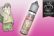 REVUE / TEST : Soda Ryan par V’ICE