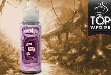 REVUE / TEST : Purple Mix (Gamme Paperland) par Airmust
